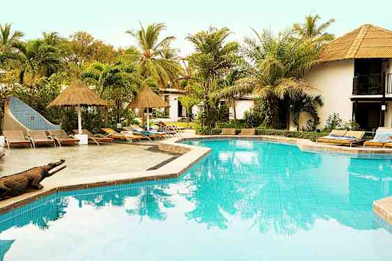 En pool omgiven av solstolar och tropiska växter. (AI-genererad text)