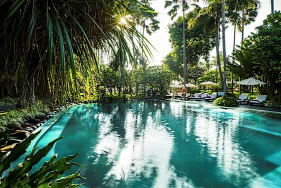 En utomhuspool omgiven av tropiska växter och palmer vid solnedgång. (AI-genererad text)