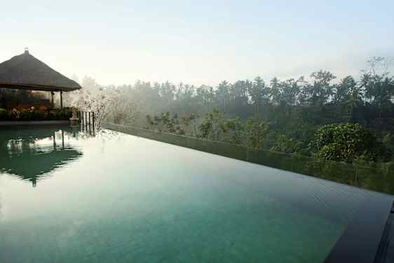 En infinitypool med klart vatten och utsikt över grönskande tropisk vegetation och palmer. (AI-genererad text)