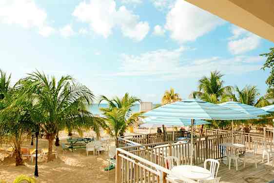 Bild av en strand med palmer, bord och stolar samt parasoll. Himlen är klar med några moln. (AI-genererad text)