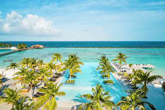 En infinitypool omgiven av palmer med havet i bakgrunden. (AI-genererad text)