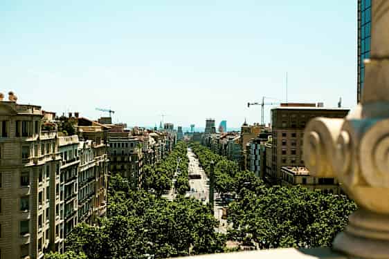Vy över en stadsgata kantad av träd och omgiven av byggnader, fotograferad från en högre plats. (AI-genererad text)