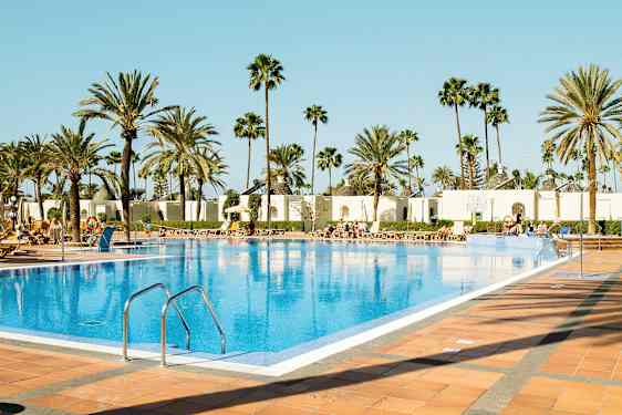 En utomhuspool omgiven av solstolar och palmer. (AI-genererad text)