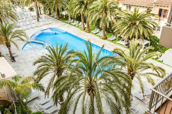 En swimmingpool med solstolar och palmer runt omkring. (AI-genererad text)