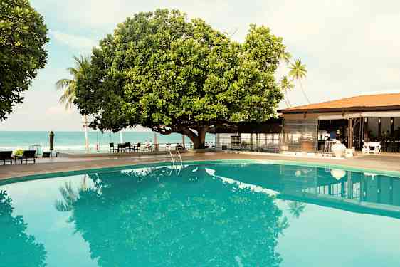 En pool vid sidan av ett stort träd och i bakgrunden syns havet samt en byggnad. (AI-genererad text)