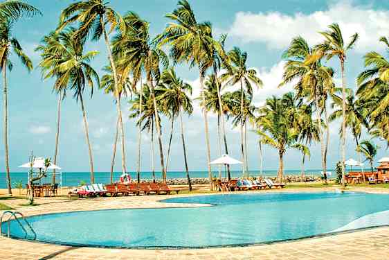 Bild av en pool omgiven av palmer med vyer mot havet i bakgrunden. (AI-genererad text)