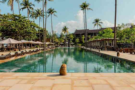 En utomhuspool omgiven av solstolar och palmer. (AI-genererad text)