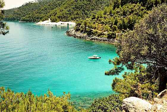 En klarblå vik omgiven av grönska och träd med en motorbåt på vattnet. (AI-genererad text)