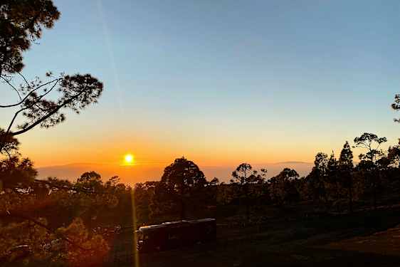 En solnedgång över ett landskap med träd, med en buss synlig i förgrunden. (AI-genererad text)