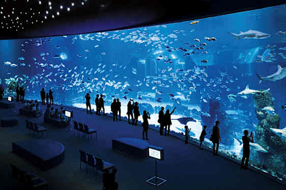 Människor står vid ett stort akvarium som visar olika fiskar och hajar. (AI-genererad text)