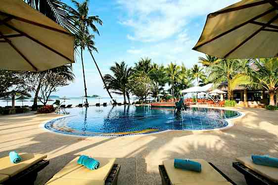 En pool omgiven av palmer och solstolar med utsikt mot havet och en blå himmel. (AI-genererad text)