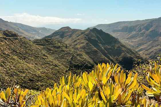 Utsikt över bergiga landskap med grön vegetation och buskar i förgrunden. (AI-genererad text)