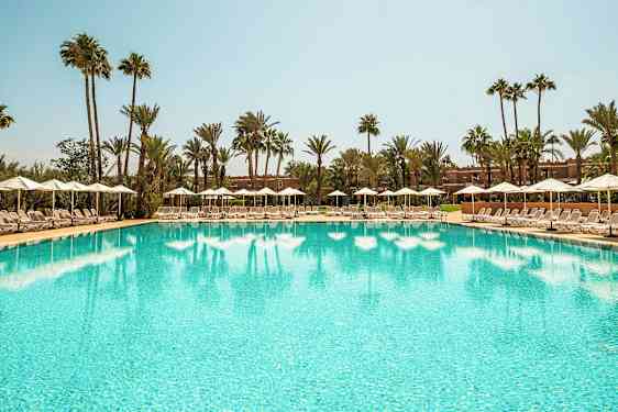 En stor pool omgiven av solstolar och paraplyer under en klar himmel med palmer i bakgrunden. (AI-genererad text)