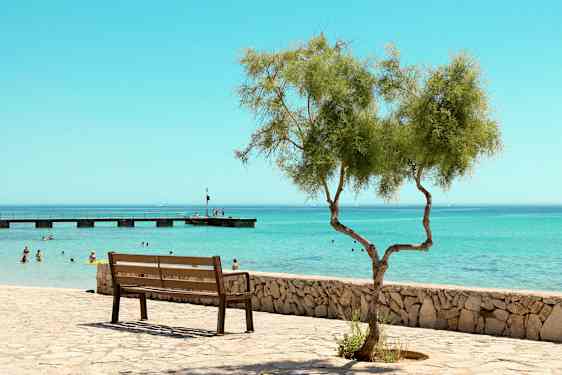 En parkbänk vid en stenmur med ett ensamt träd i förgrunden, och människor badar i havet med en brygga i bakgrunden. (AI-genererad text)