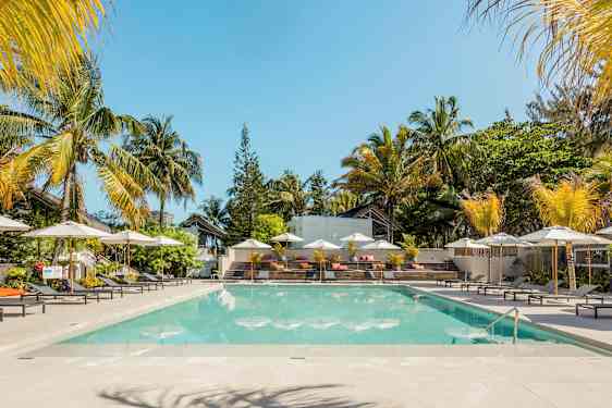 En pool omgiven av solstolar och parasoller med palmer i bakgrunden. (AI-genererad text)