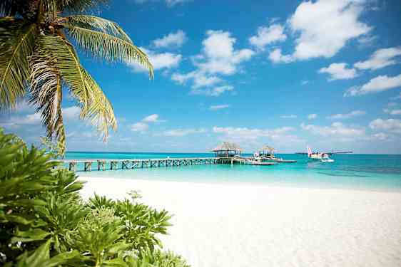 En vit sandstrand med palmer och brygga som leder ut till resorthus på vattnet. Ett sjöflygplan är synligt vid sidan av bryggan. (AI-genererad text)