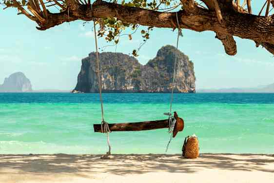 En trägunga hänger från ett träd vid en sandstrand med havet och klippformationer i bakgrunden. (AI-genererad text)