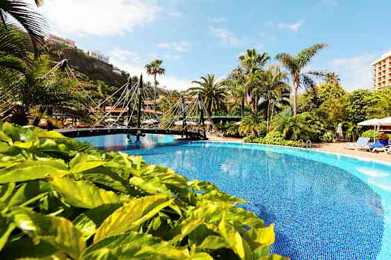 En utomhuspool omgiven av gröna växter och palmer. En liten bro löper över poolen. (AI-genererad text)