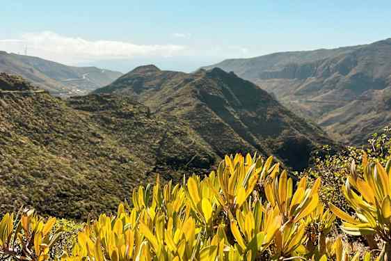 Utsikt över bergiga landskap med grön vegetation och buskar i förgrunden. (AI-genererad text)