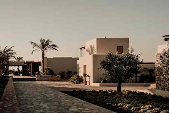 En ljus byggnad omgiven av palmträd och en stenlagd gång. (AI-genererad text)