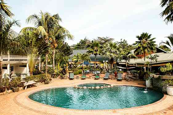 En utomhuspool omgiven av gröna palmer och solstolar, med en byggnad i bakgrunden. (AI-genererad text)