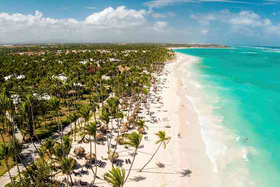 En vit sandstrand med turkost vatten och många palmer. Strandbesökare och strandstolar syns längs stranden. (AI-genererad text)