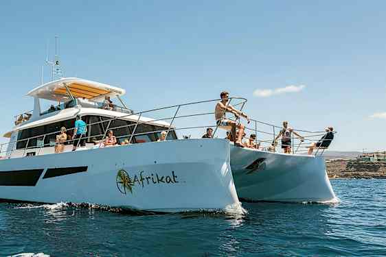 Personer på en katamaran i soligt väder, omgivna av vatten och en kustlinje i bakgrunden. (AI-genererad text)