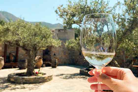 Ett vinglas hålls upp mot bakgrund av olivträd och ett stenmurdominerat landskap. (AI-genererad text)
