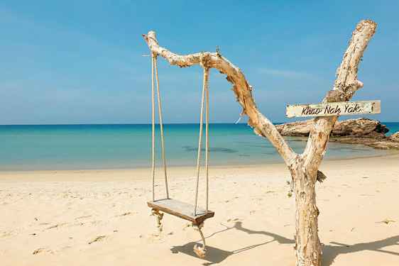 En trägung på ett rep hänger från en gren vid stranden med blått hav i bakgrunden. (AI-genererad text)