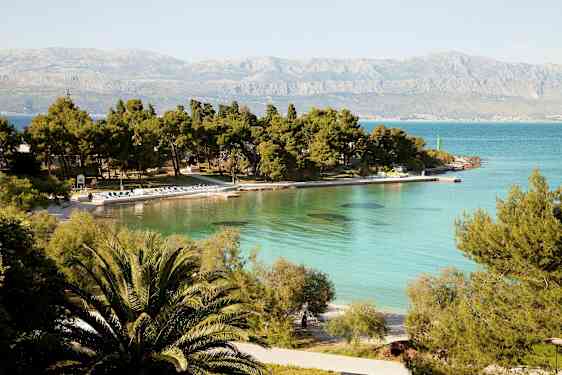 Vy över en strand med turkost vatten och tallträd. (AI-genererad text)