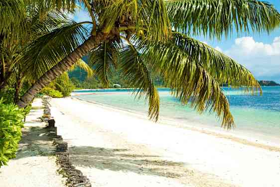 En strand med vita sandkorn, omgiven av klarblått vatten och överhängande palmträd. (AI-genererad text)