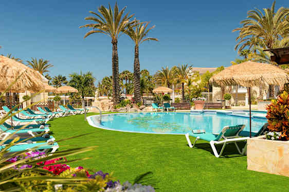 En pool omgiven av solstolar, parasoller och palmer på en solig dag. (AI-genererad text)