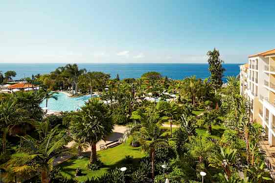 En hotellets trädgård med palmer och växter, en pool i mitten och havet i bakgrunden. (AI-genererad text)