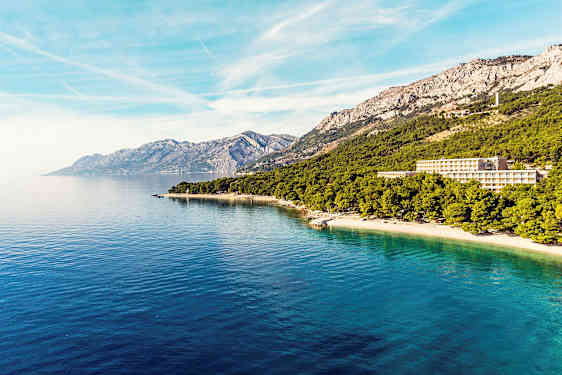 Utsikt över havet, en skogskantad strand och berg i bakgrunden. (AI-genererad text)