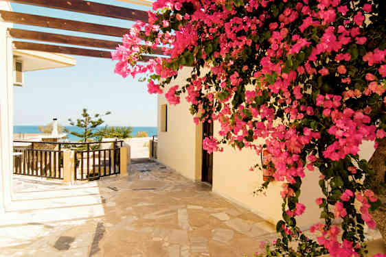 Entré med stenlagt golv, en blomstrande rosa buske och havsutsikt. (AI-genererad text)