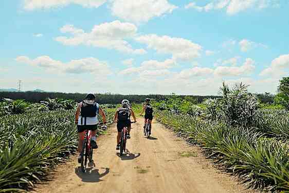 Tre personer cyklar på en grusväg genom ett tropiskt landskap. (AI-genererad text)