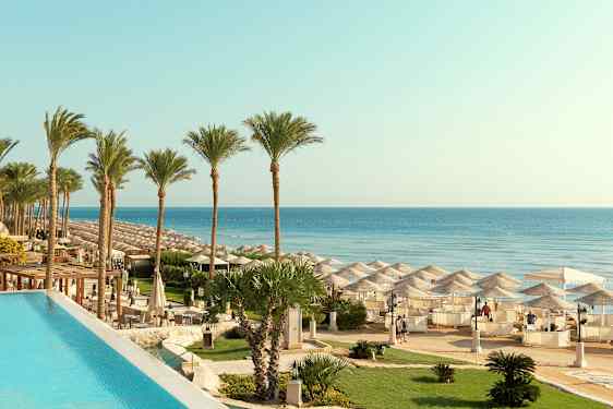 Palmträd vid en strand med parasoller och klart blått vatten. (AI-genererad text)