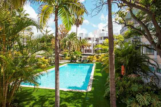 En utomhuspool omgiven av palmer och byggnader. (AI-genererad text)