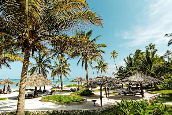 Strand med kokospalmer, parasoller och solstolar under en blå himmel. (AI-genererad text)