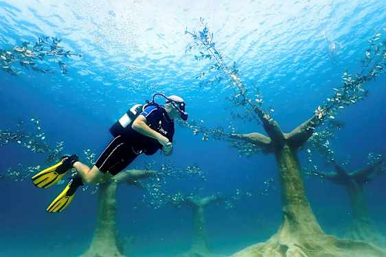 En dykare simmar under vatten ovanför konstgjorda undervattensskulpturer i form av träd. (AI-genererad text)