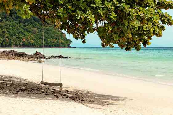 En gunga hänger från ett träd vid en sandstrand med klart vatten. (AI-genererad text)