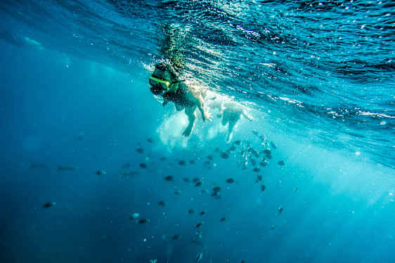 AUA Palm Pleasure Afternoon Delight (AD3H)