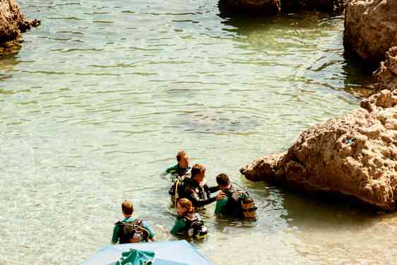 RHO Diving - North (DING)