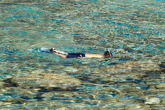 RHO Snorkling North (SINN)