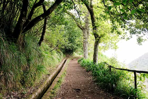 FNC Paradise Vally – Afternoon Tea (ATEA)