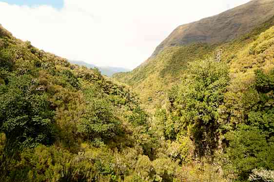 FNC Caldeirao Verde - Levada (CALE)