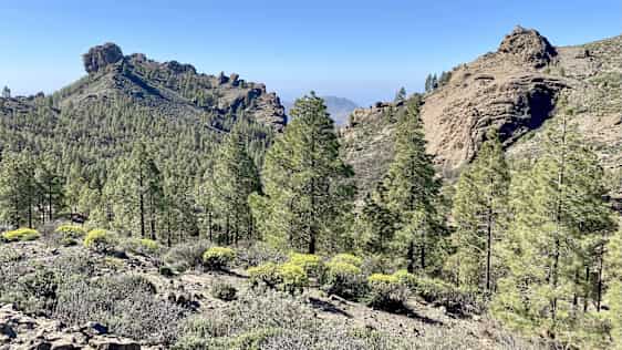 Utsikt från ett berg på Gran Canaria