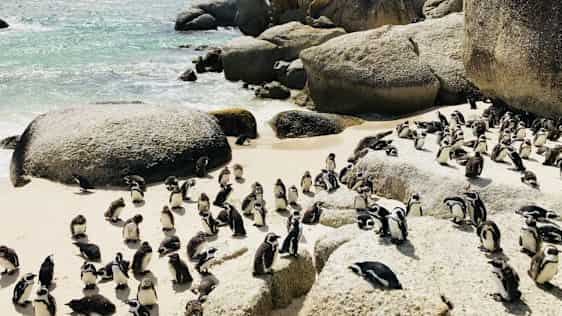 Sydafrika