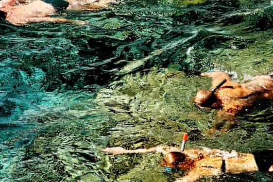 Snorkling i Egypten