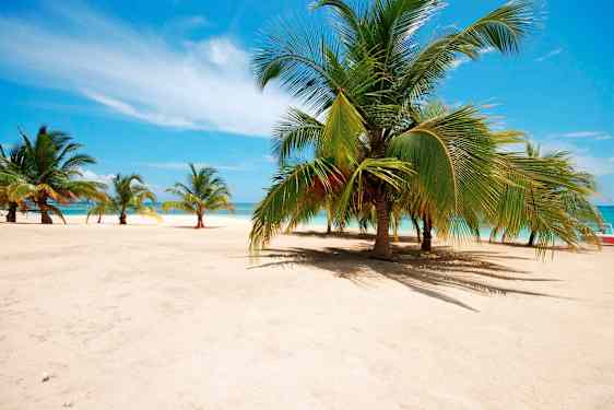 Varmeguiden i januar